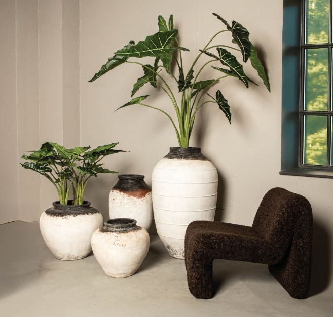 2Captura ptmd-toñi-clemente